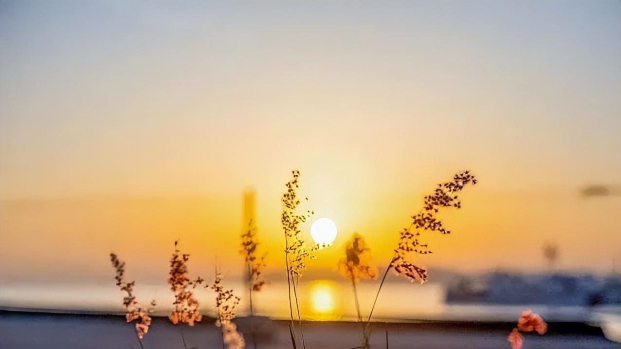 摩羯座5月好运渐涨，谨言慎行，工作迎接挑战，保持理性