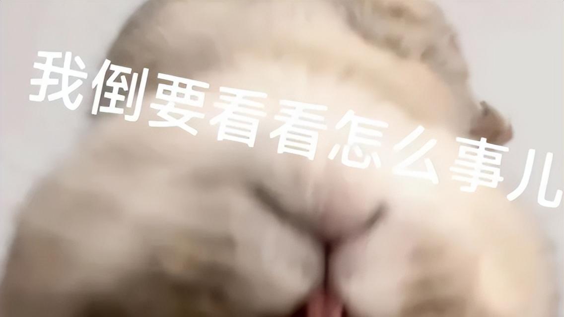 蒲家村常有鬼怪出没？现场目击者：消息属实！