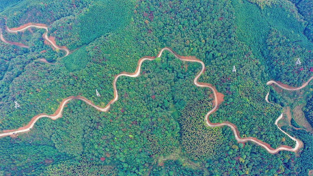 一个人最重要的觉醒：破相