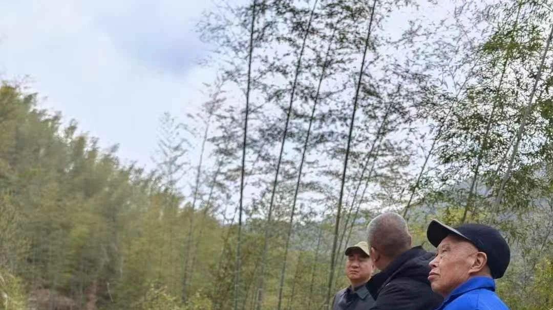 三僚曾真君：应邀在湖南娄底勘查新坟地，规划风水布局