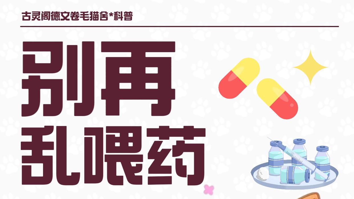 新生幼猫肠胀气急救