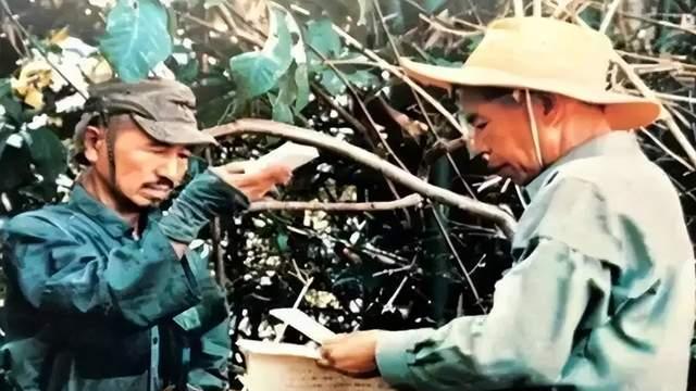最后一名投降的日兵：因不信日本战败，丛林坚守30年杀百人