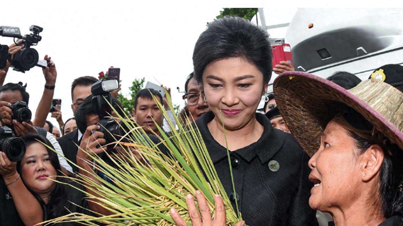 10年拉锯战终结！100亿天价赔偿！泰国前总理英拉的大米计划背后的赔偿争议