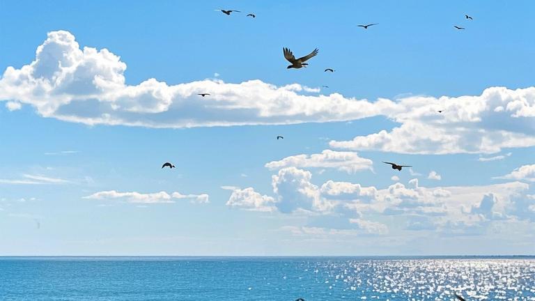 连续加班14天后，我带着体检报告走进领导办公室