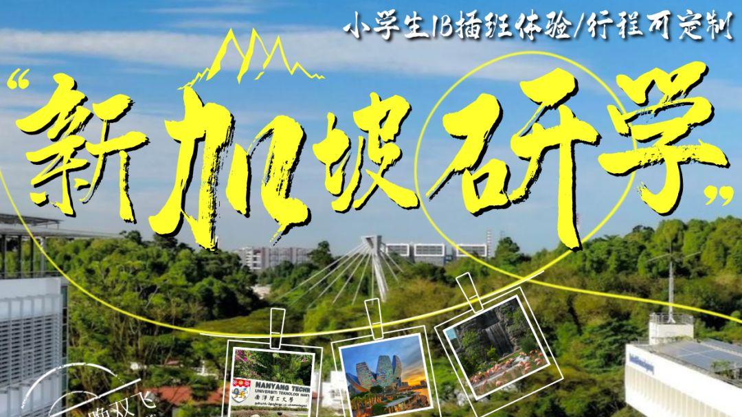 给9-14岁娃的新加坡礼物：比补课珍贵的，是童年的眼界