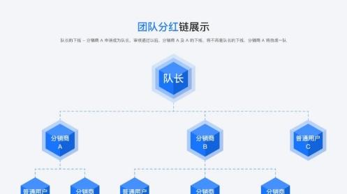 团队分红小程序商城：开启电商营销新范式