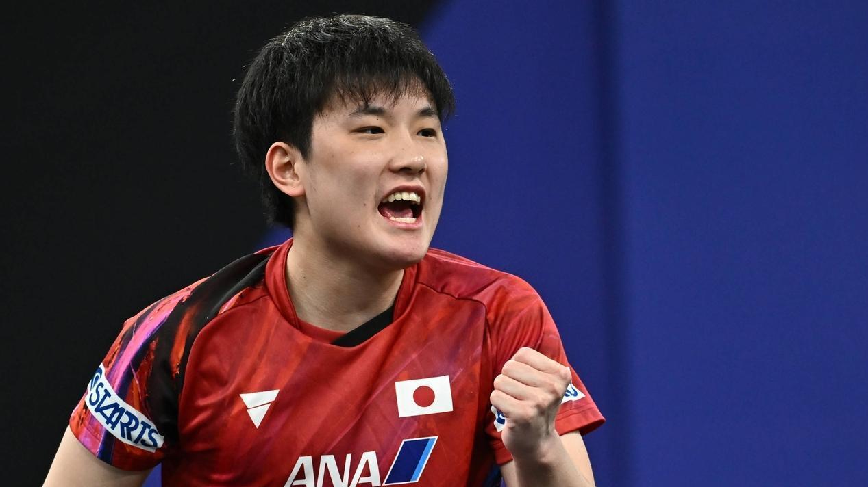 萨格勒布惊天夜！ 国乒小绝境翻盘，张本智和杀红眼，中日终极对决来了