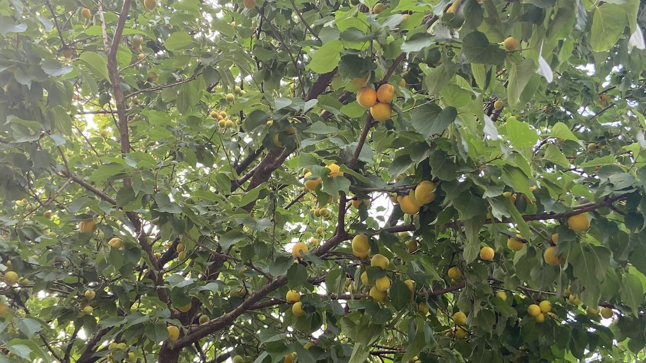 科学的尽头是玄学