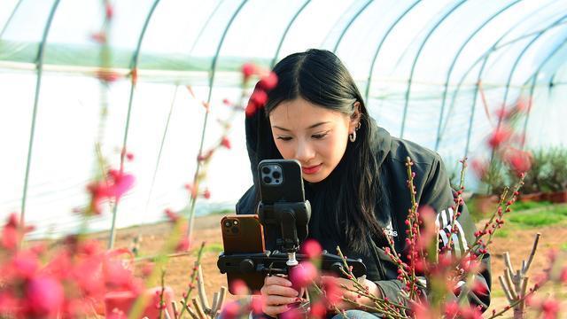 探秘郯城梅花盆景园，领略小盆景艺术之美，体验自然与人文的和谐交融