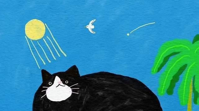 “这样交往”的异性知己，感情往往能够长久走下去