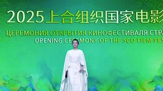 上合这天：女星穿礼服下车没红毯还得过安检，冯小刚2句话显情商