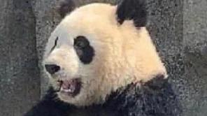 不止斩夏侯！《率土之滨》汉中之战赛季还原的 “三国冷知识”