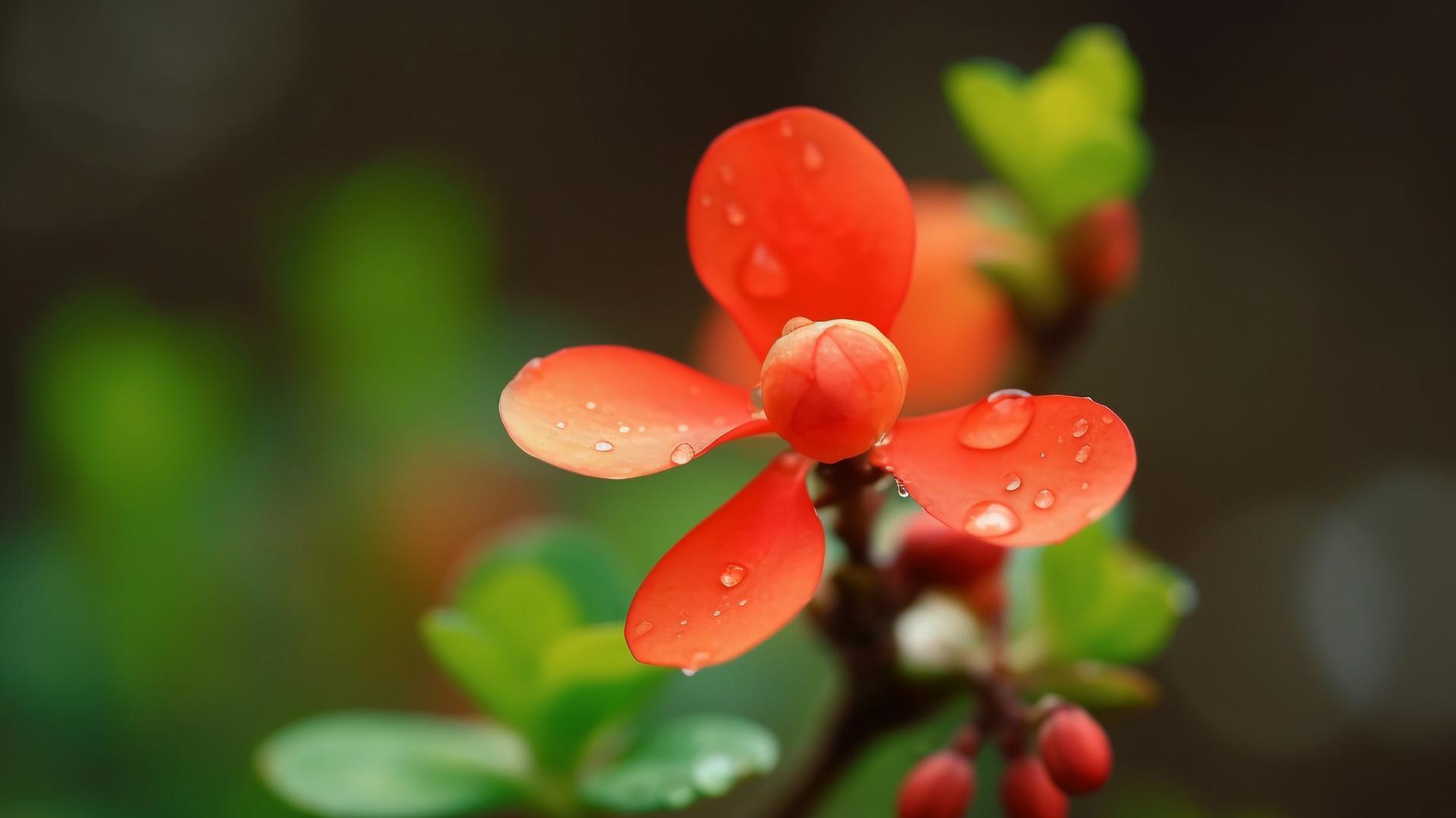 这3种话，父母老了也别对孩子说。