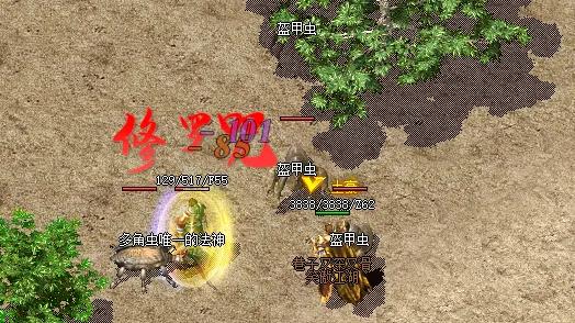 热血传奇：当强势的战士遇到这枚项链，直接从老虎变成小绵羊