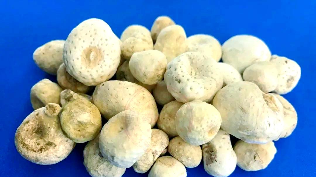 软脂肪瘤和硬脂肪瘤，哪个更严重？1张强效散结方，软硬都能消
