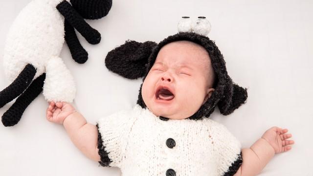 孩子哭闹时，别催“别哭”，先给“哭的权利”