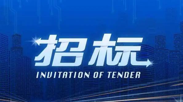 招投标倒查13年：一场重塑行业生态的深度变革