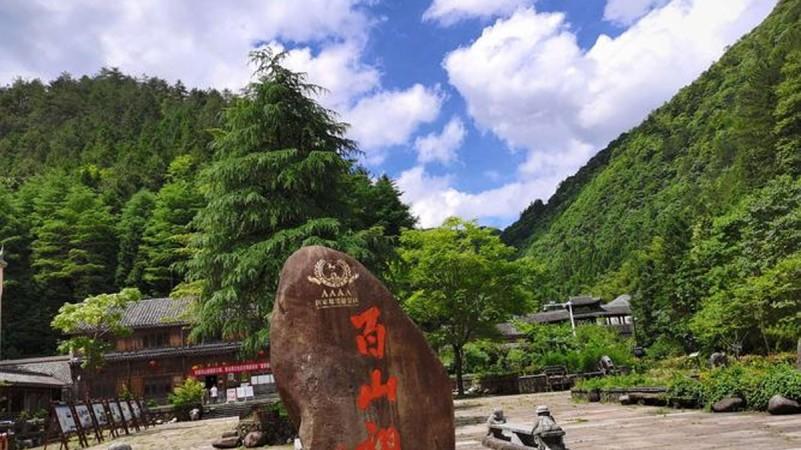 菌体验：未来乡村的“流量引擎”与“文化窗口”