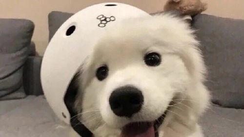 短剧《虎虎生威 & 诱人情深 & 逆袭人生》80 集完整版免费在线播放，贾二虎的逆袭故事