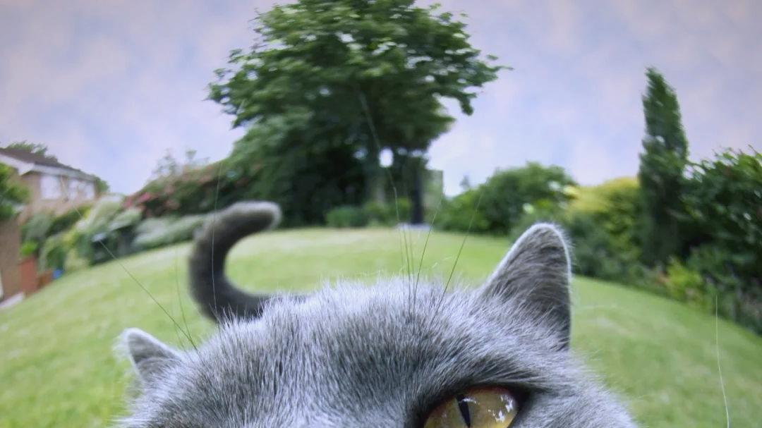 拍腻了常规照片？那你一定要试试鱼眼镜头！