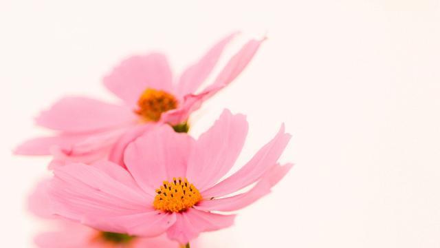 离婚十三年，前夫的遗产，为何会落到我手里？