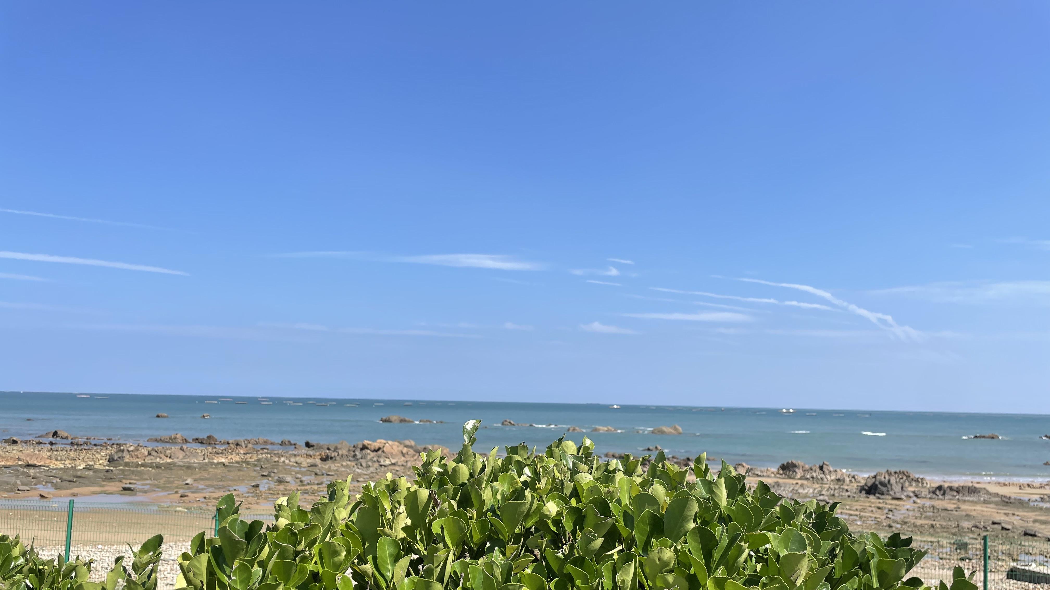 我的爱情，9.9年（二）