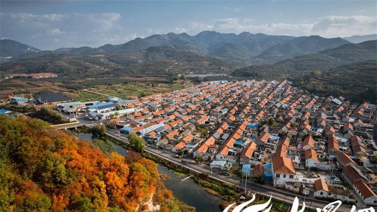 任贤齐点赞引爆全网！“中国苹果第一镇” 的甜蜜密码