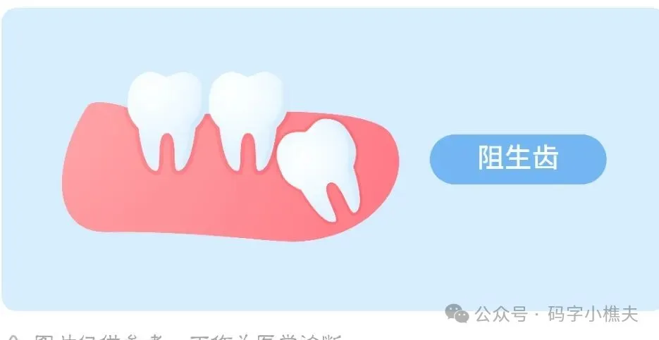 体检完去三甲医院拔智齿，主任医师说：稍等，我先看看自己的牙？