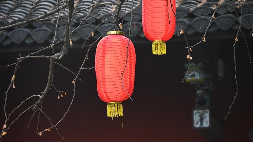 四柱看子女信息