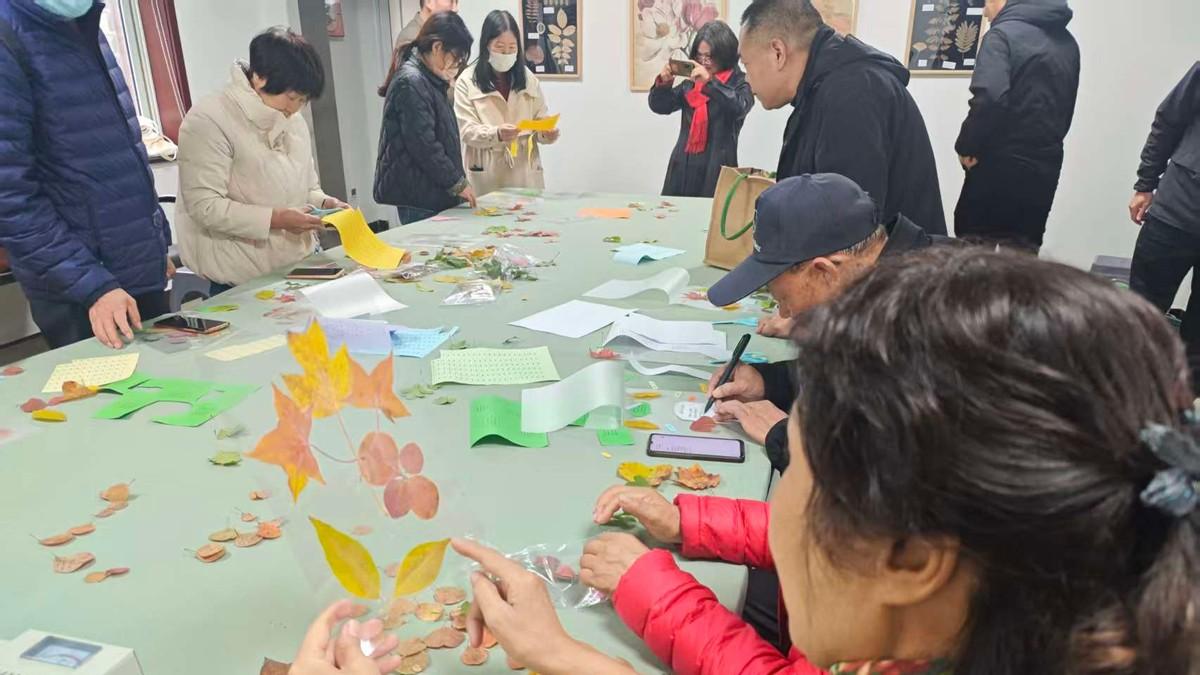 保定：“公园+”遇上重阳节，多彩主题活动敬老惠民