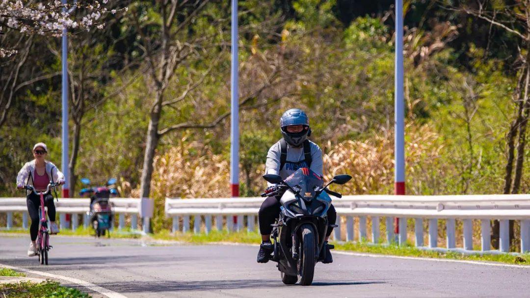 上虞张村樱花谷这么美还完全免费，竟然没有公交车能直达，可惜了