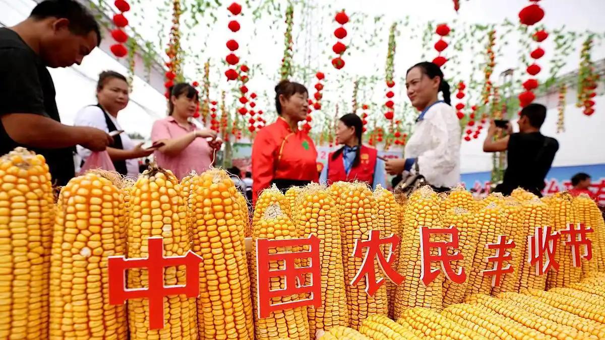 《江城子·金秋礼赞》-----秋分又逢农民丰收节