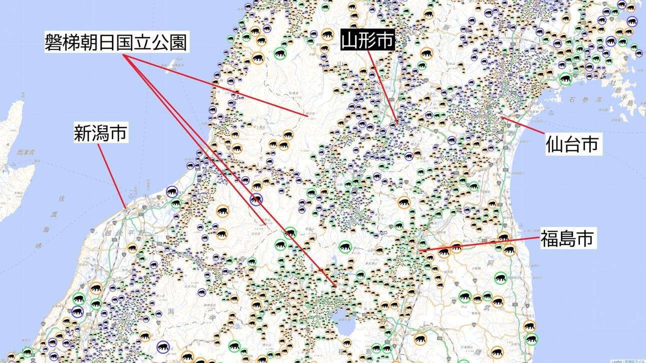 现场出现明显吃人痕迹！数百日本人被熊袭击，熊或已记住人肉味道