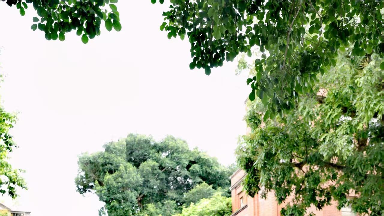 助力文化传播｜余淑琴旗袍作品北京大兴国际机场展播