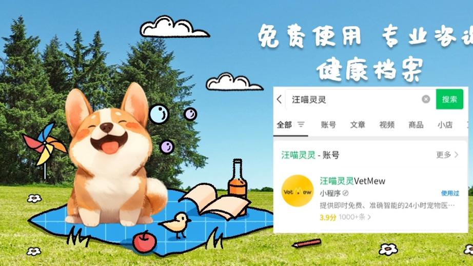 狗狗怎么训练才听话？正向奖励法告诉你