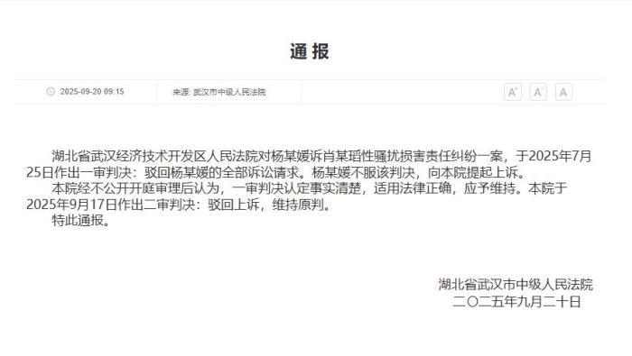 武汉图书馆性骚扰案终审：为何法院维持 "证据不足" 判决？