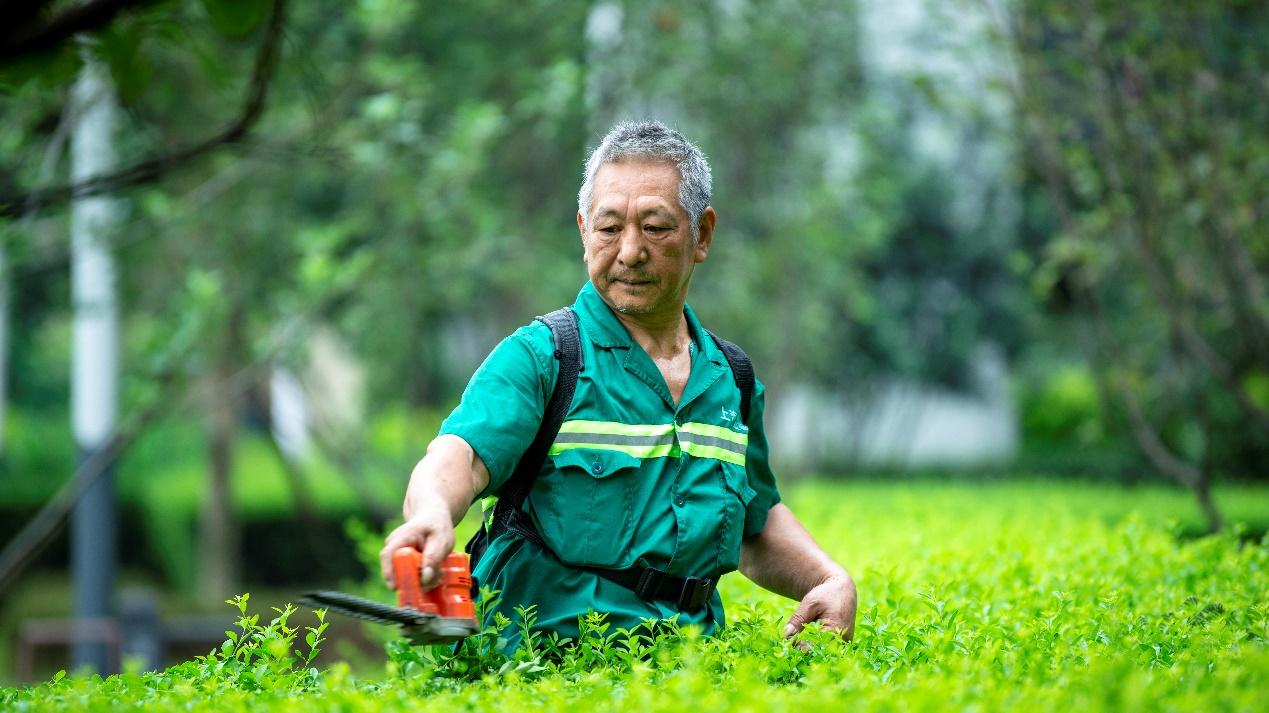 把家园「种」成一首诗：永升西南的秋日焕绿美学