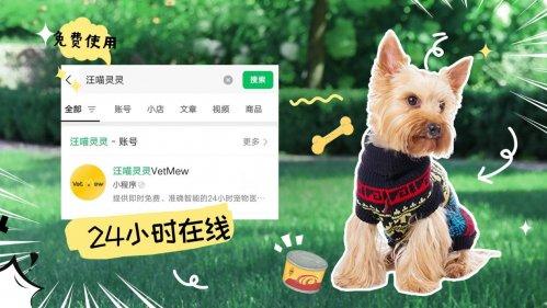 狗狗狼嚎，难道是在想念狼群？