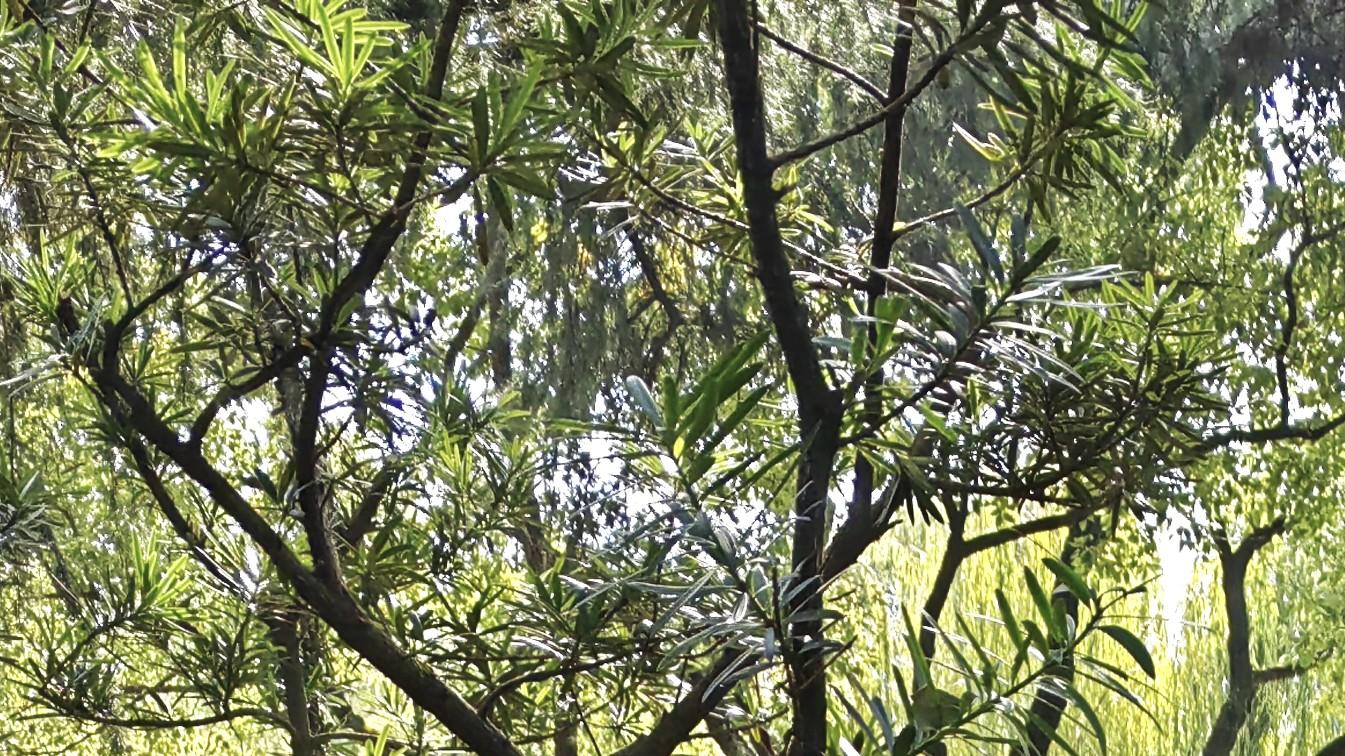 职场有气质（上）：来点“匪气”，破局开路