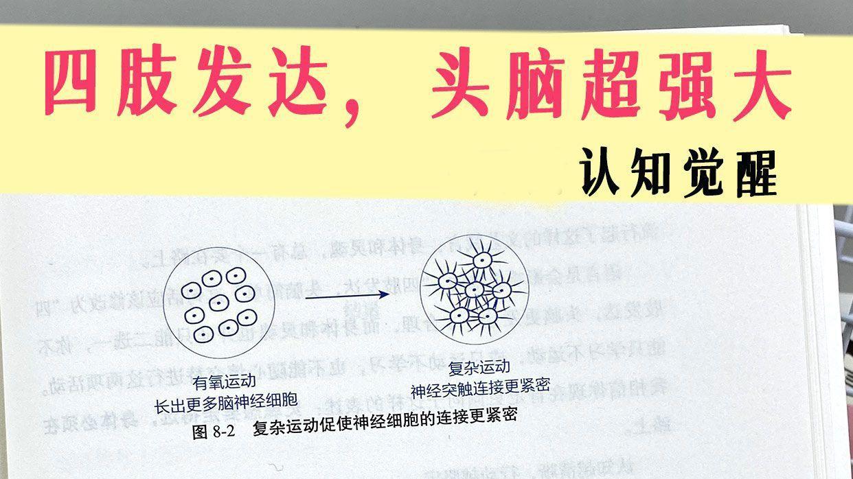 四肢发达，头脑超强大-周岭认知觉醒
