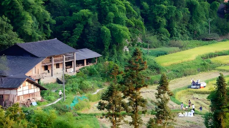 我的人生记忆之四：童年的丝丝缕缕（一）