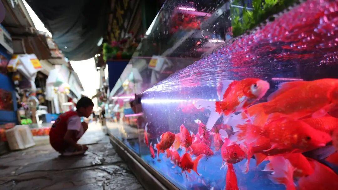 聪明女人朋友圈不晒这 4 样！退休阿姨看了：难怪人家日子顺