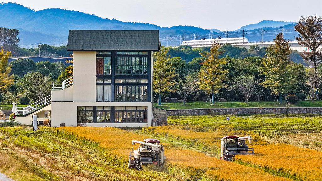 蝴蝶大乐透25133期分析，本期的热码是需要防一下的，有机会开出3个以上号码