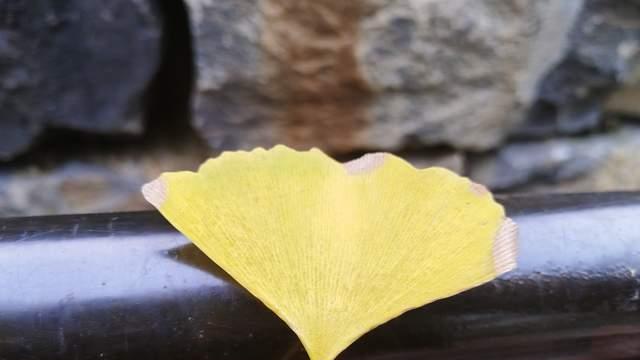 过度负责和操心的家长，正在亲手毁掉孩子的内驱力，别好心办坏事