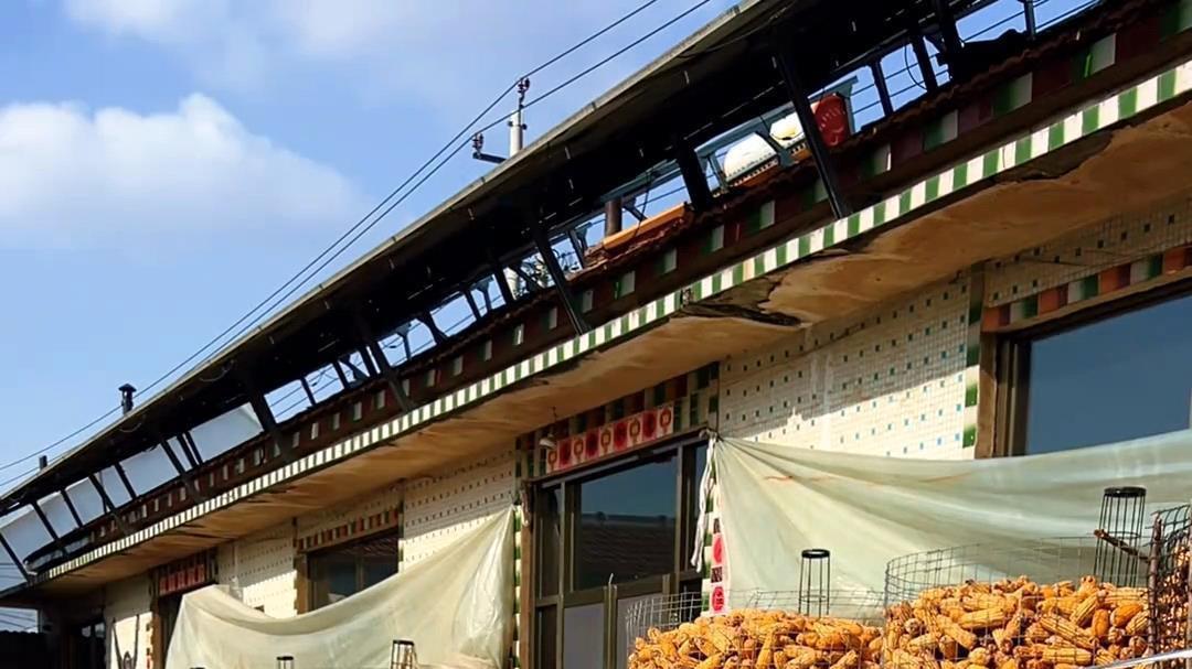 冲上热搜！山东小伙用50斤黑小麦拼出《疯狂动物城》朱迪尼克