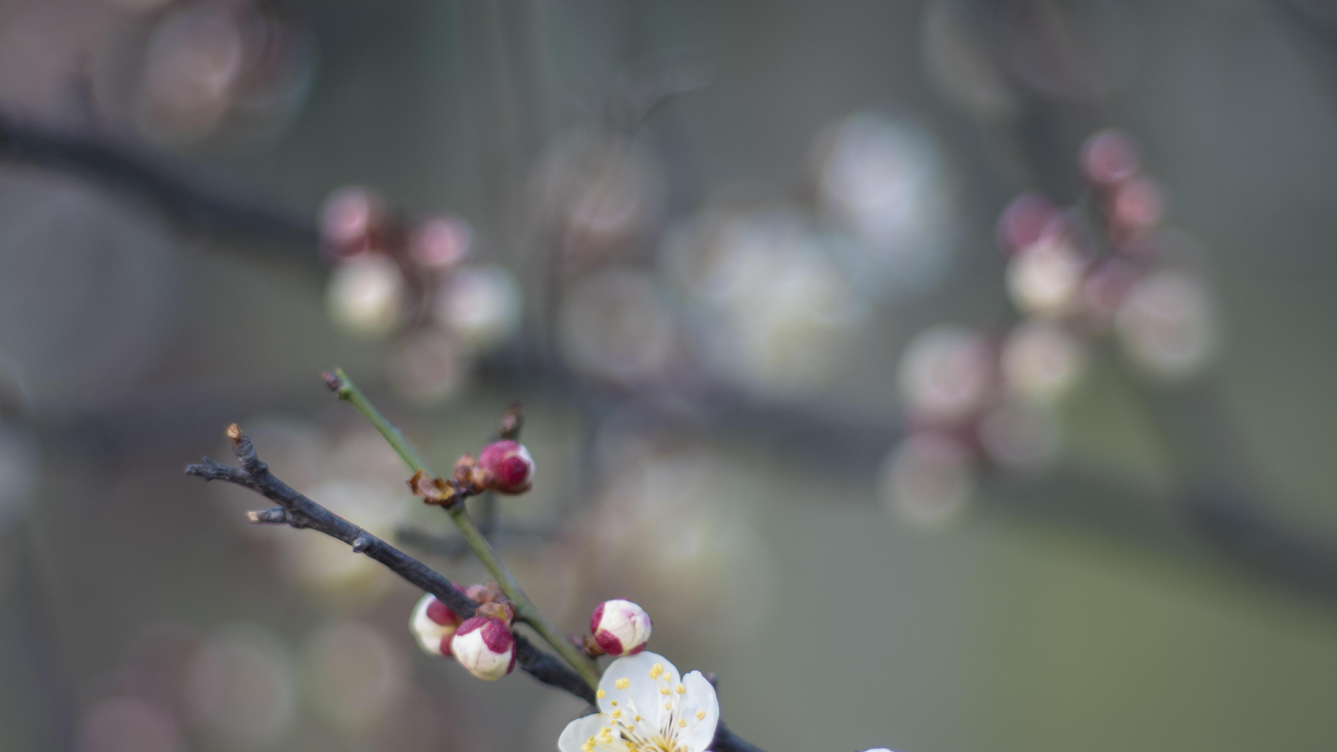 57万亿的乡村金融密码