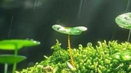 异性之间：千万不要把精神寄托在任何人身上，能暂时为你遮风挡雨的，也会在将来让你不见天日。