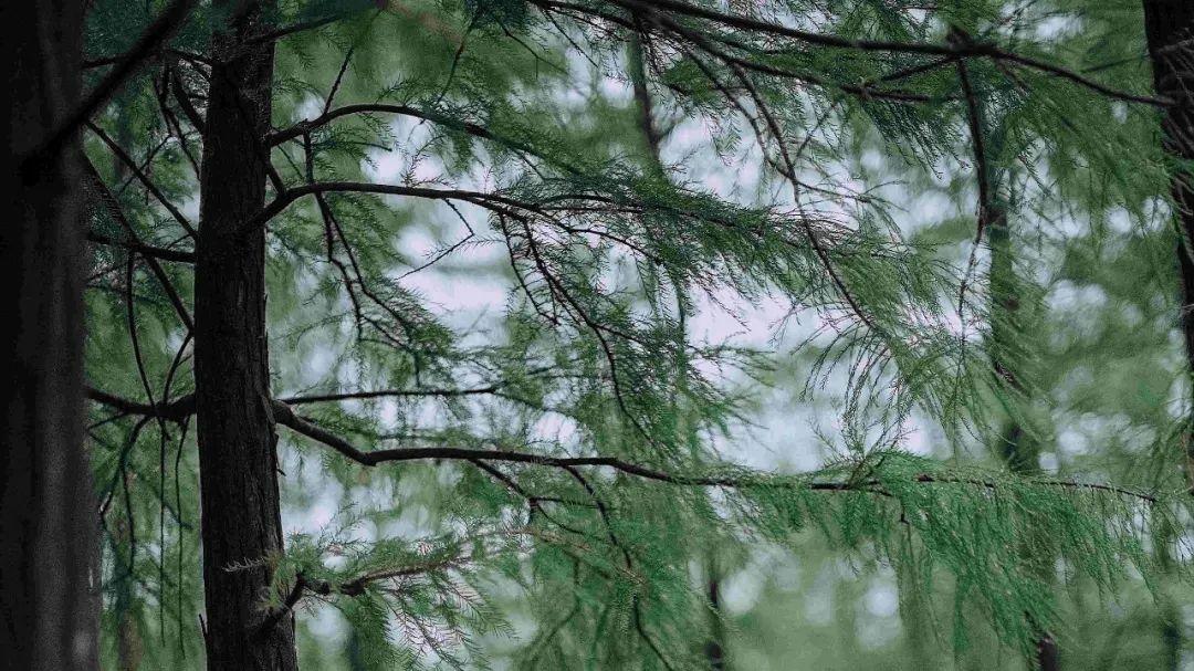 逆天颜值！银行柜姐的高清生图流出，客户排队只为一睹芳容#职场女神