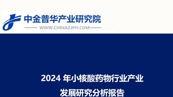 2024年小核酸药物行业产业发展研究分析报告
