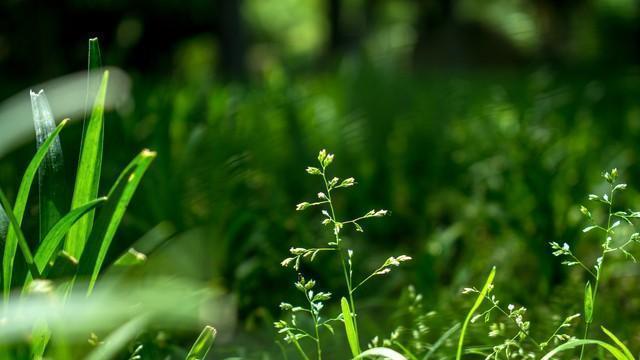 我爸胃癌，我媳妇过年回娘家住了8天，我直接提离婚